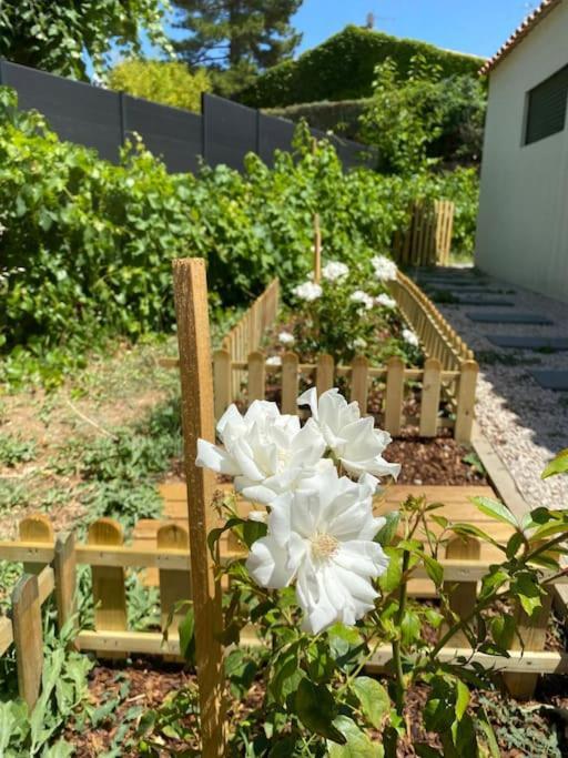 Maison, Jardin, Piscine Parking Pres D'Aix Centre เวอแนลส์ ภายนอก รูปภาพ